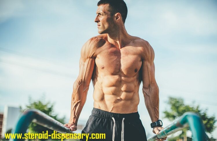 Why you should maintain good eating habit to increase muscle mass