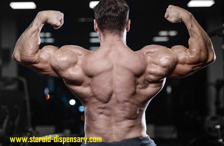 buy Dianabol from online platfrom