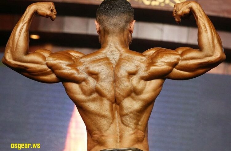 Find Steroids for Sale Online to Boost Muscles