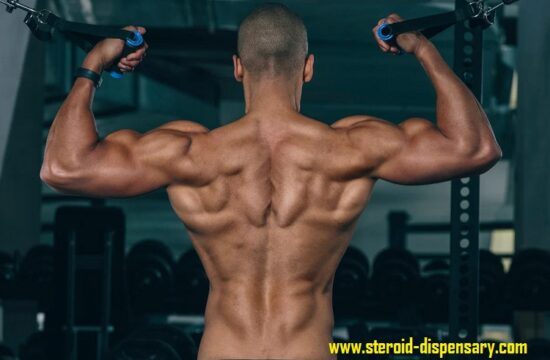 Buyers Can Buy Anabolic Steroids Online Up for Shipping to the USA