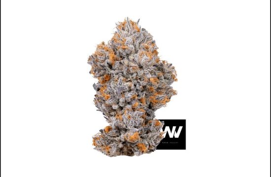How Can You Find Pure and Effective Biscotti Strain Leafly?